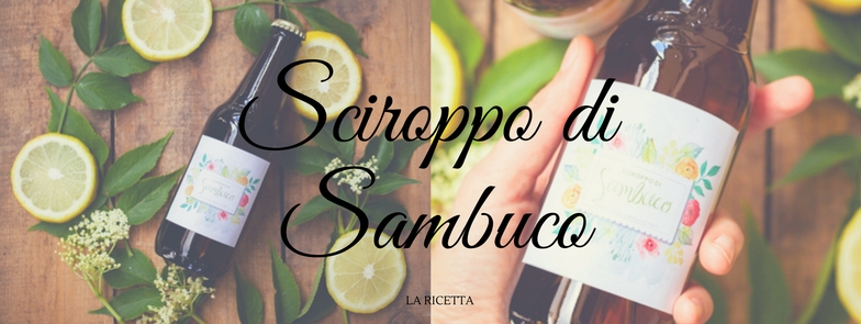 Ricetta sciroppo di Sambuco