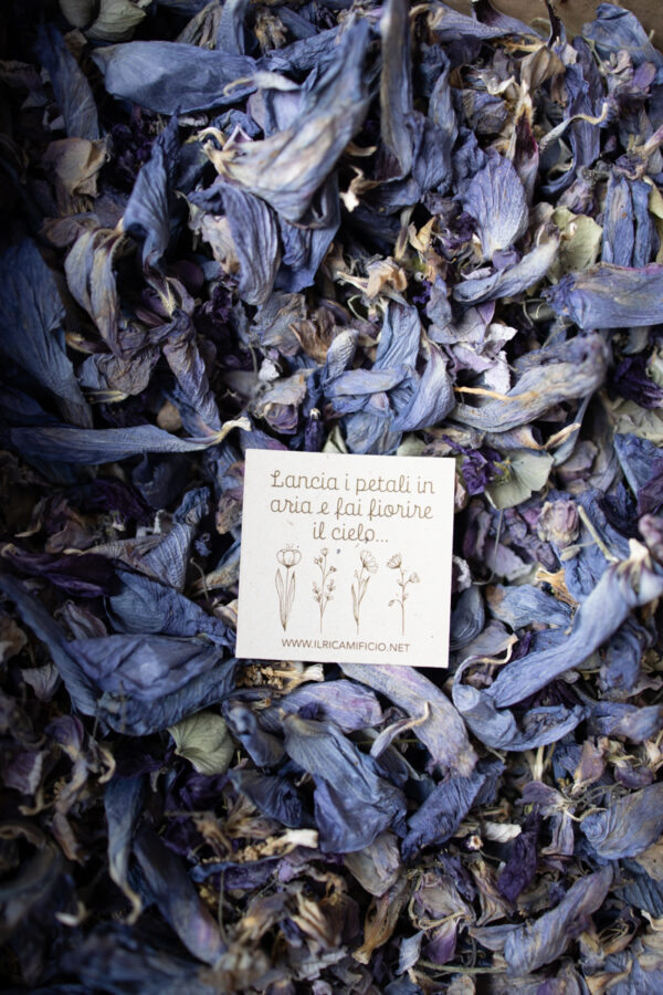 Petali di fiori essiccati - Blu, azzurro e lilla