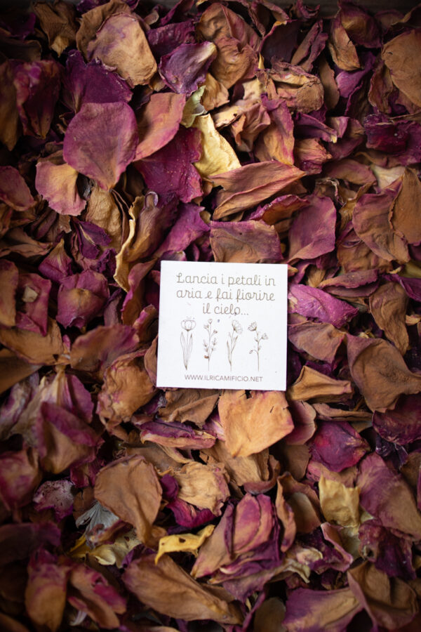 Petali di fiori essiccati - Mood d'autunno